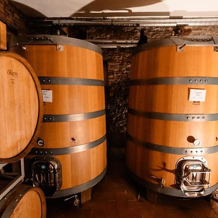 Cadgal - Tenuta La Cova Calamandrana Zewnętrze zdjęcie